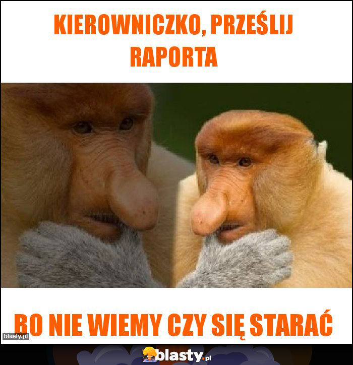 KIEROWNICZKO, PRZEŚLIJ RAPORTA