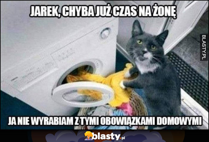 Kot robi pranie, Jarek chyba już czas na żonę, ja nie wyrabiam z tymi obowiązkami domowymi