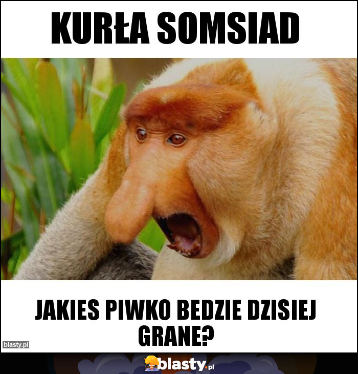 Kurła somsiad