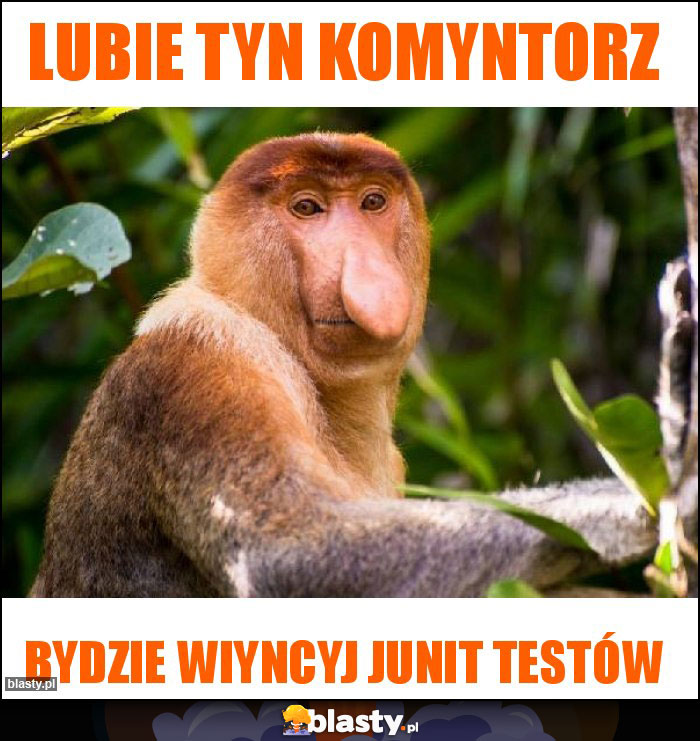 Lubie tyn komyntorz