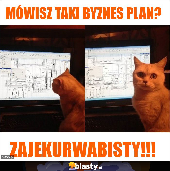 Mówisz taki byznes plan?