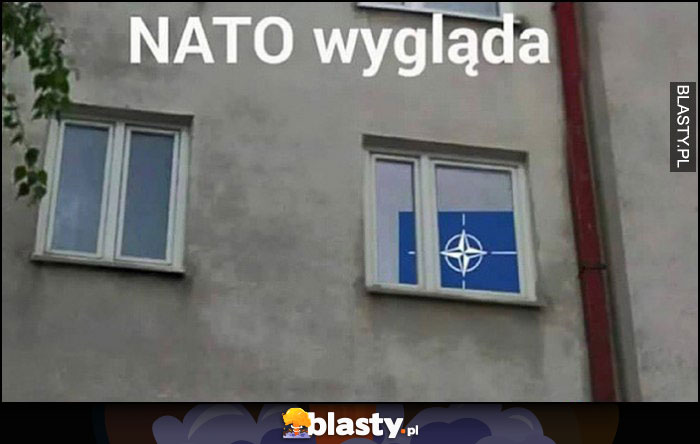 NATO wygląda dosłownie logo NATO patrzy przez okno