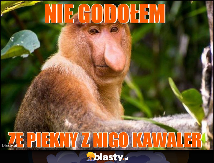 Nie godołem