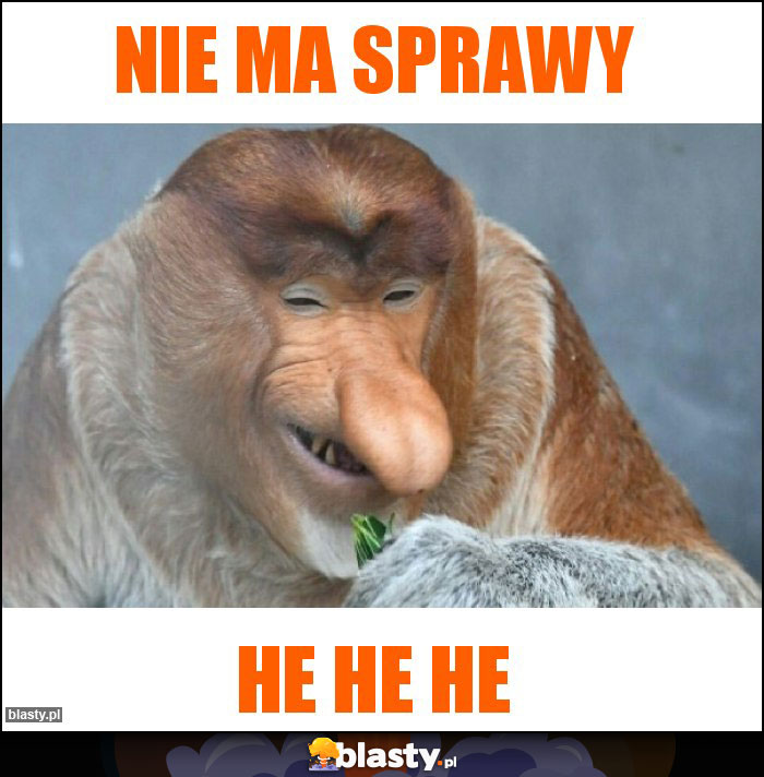 nie ma sprawy