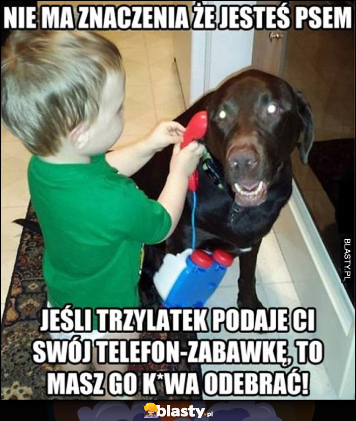 Nie ma znaczenia, że jesteś psem, jeśli trzylatek podaje Ci swój telefon-zabawkę, to masz go kurna odebrać!