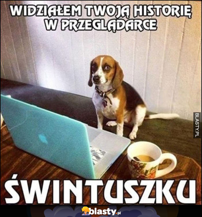 Pies widziałem Twoją historię w przeglądarce świntuszku