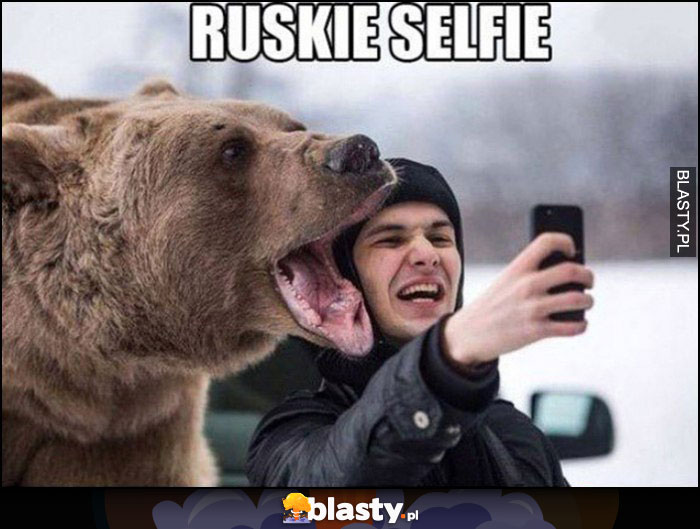 Ruskie selfie z niedźwiedziem brunatnym