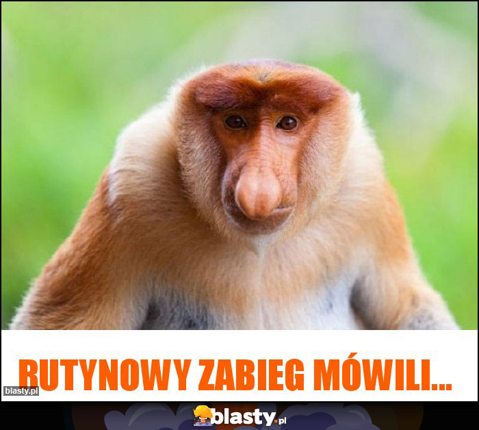 Rutynowy zabieg mówili...