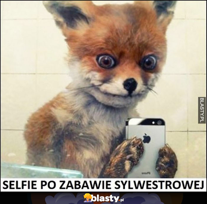 Selfie po zabawie sylwestrowej lis lisek