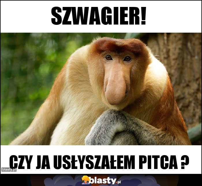 Szwagier!