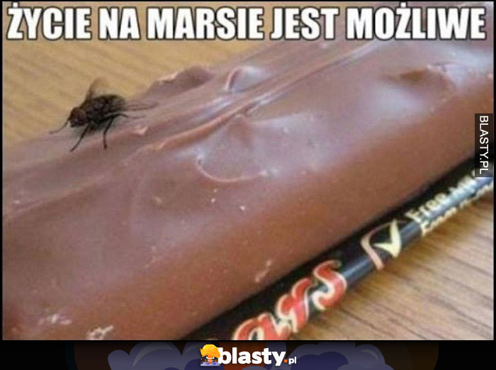 Życie na marsie jest możliwe mucha na batonie Mars