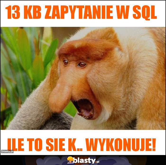 13 KB zapytanie w SQL
