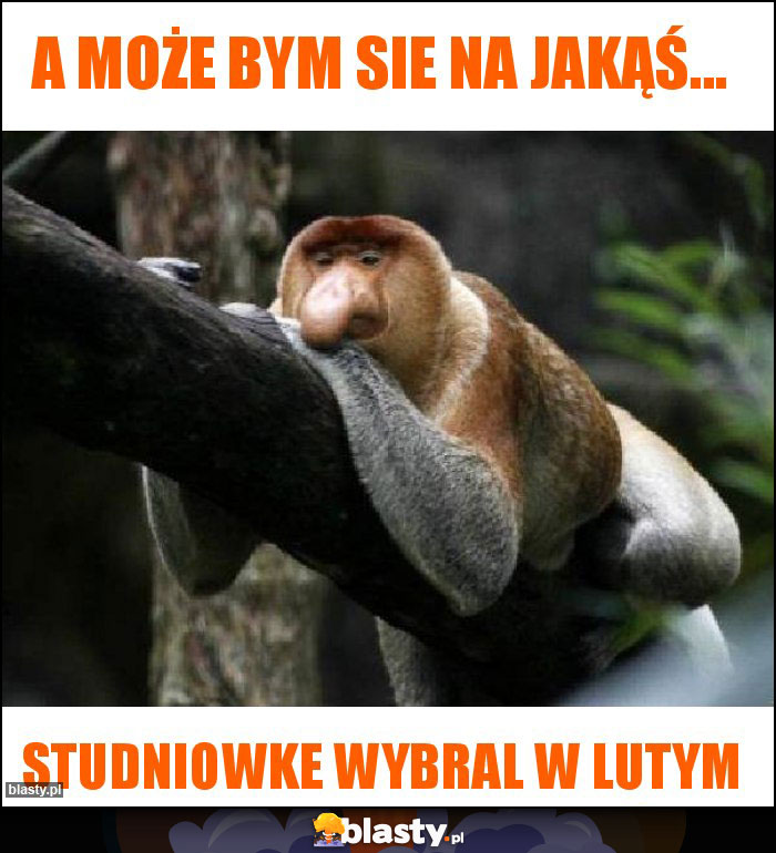 A może bym sie na jakąś...