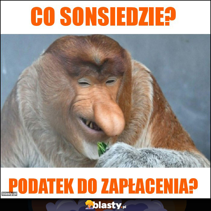 Co sonsiedzie?
