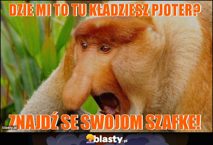 Dzie mi to tu kładziesz Pjoter?