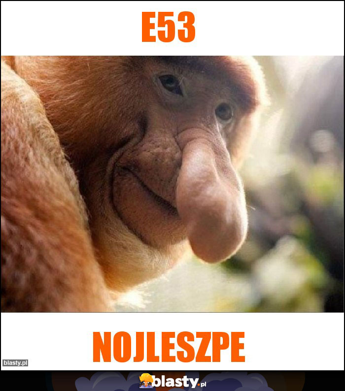 E53