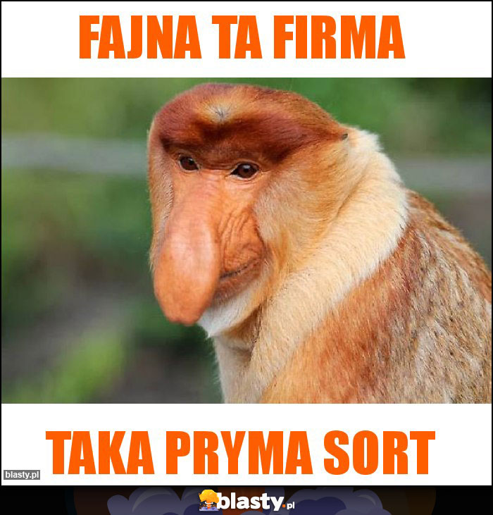 Fajna ta firma