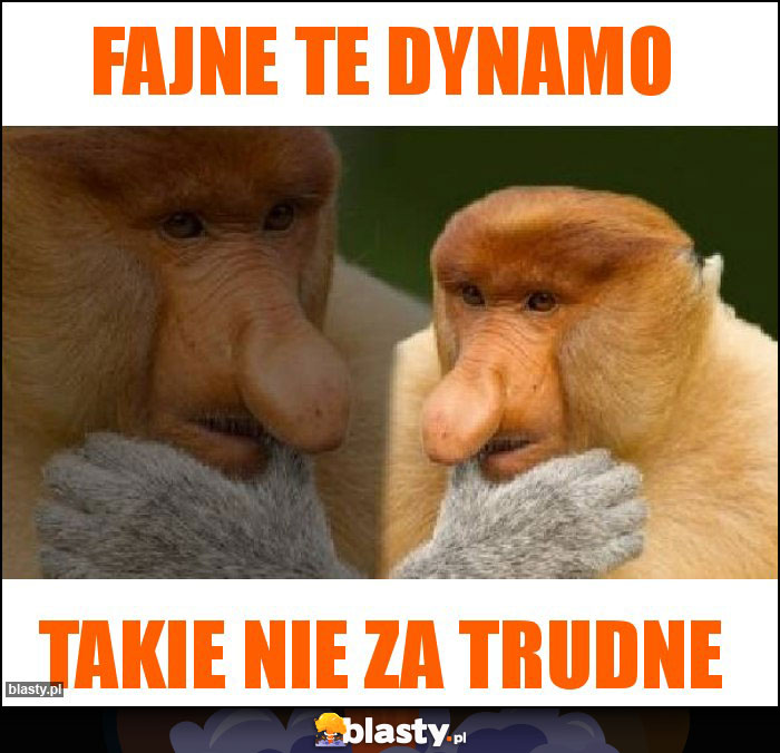 Fajne te dynamo