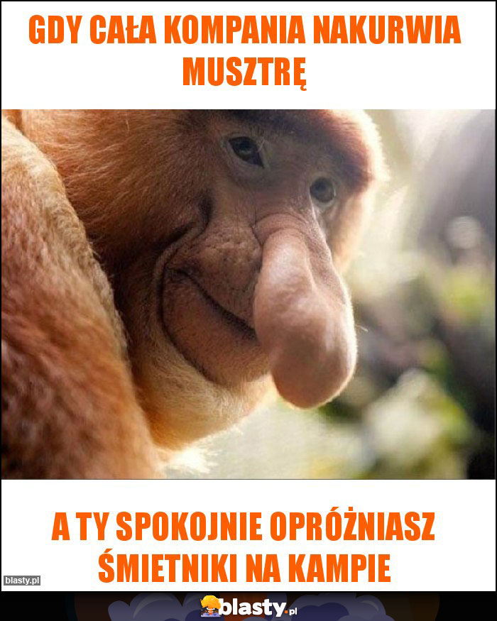 gdy cała kompania nakurwia musztrę