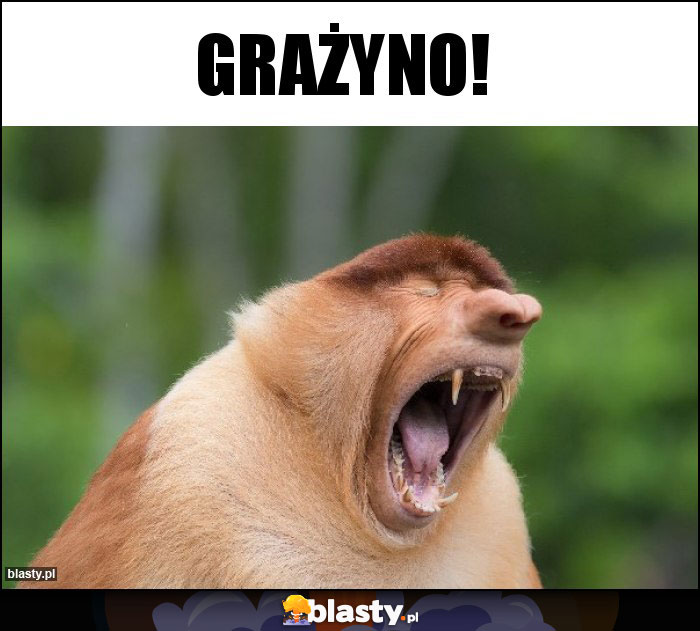 Grażyno!