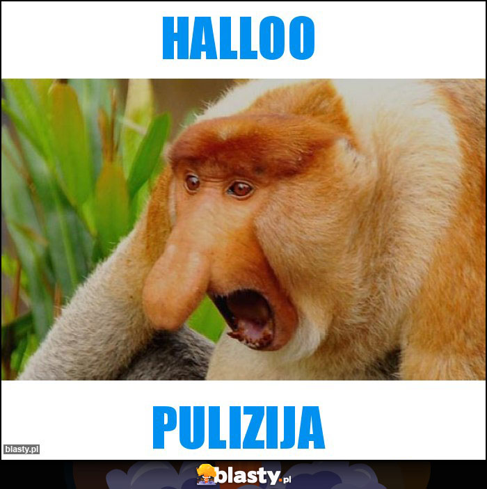 Halloo