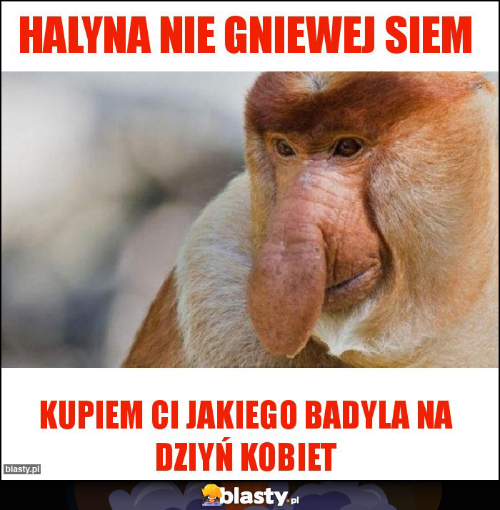 Halyna nie gniewej siem