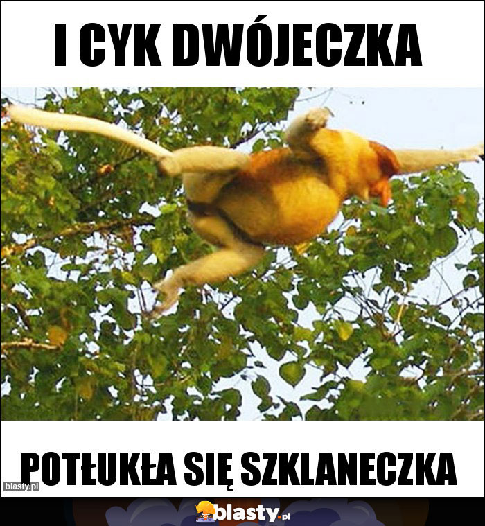 I cyk dwójeczka