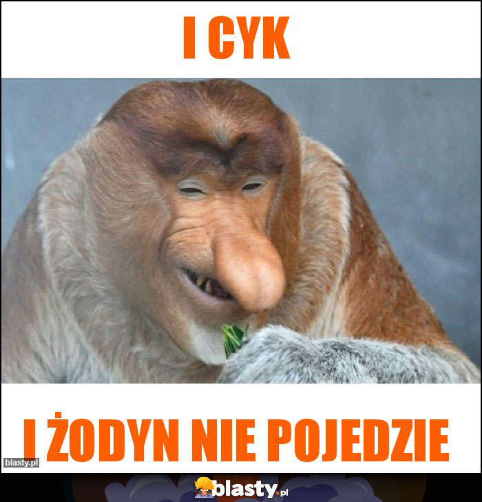 I cyk
