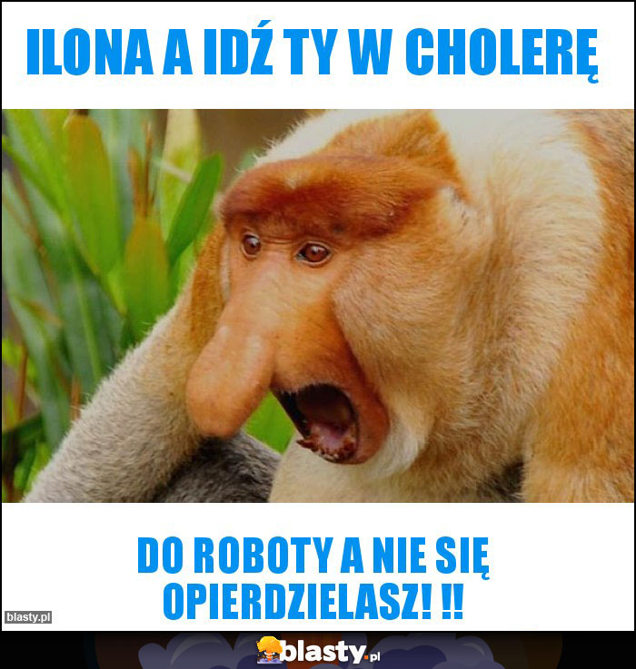 Ilona a idź Ty w cholerę