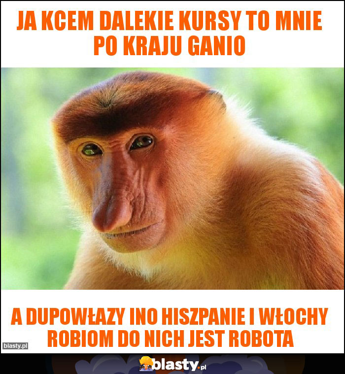Ja kcem dalekie kursy to mnie po kraju ganio