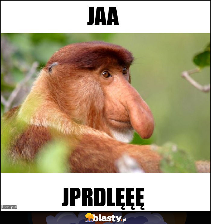 JAA