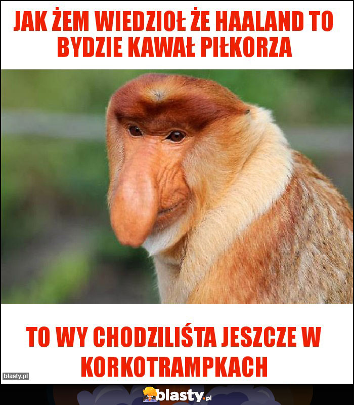Jak żem wiedzioł że Haaland to bydzie kawał piłkorza
