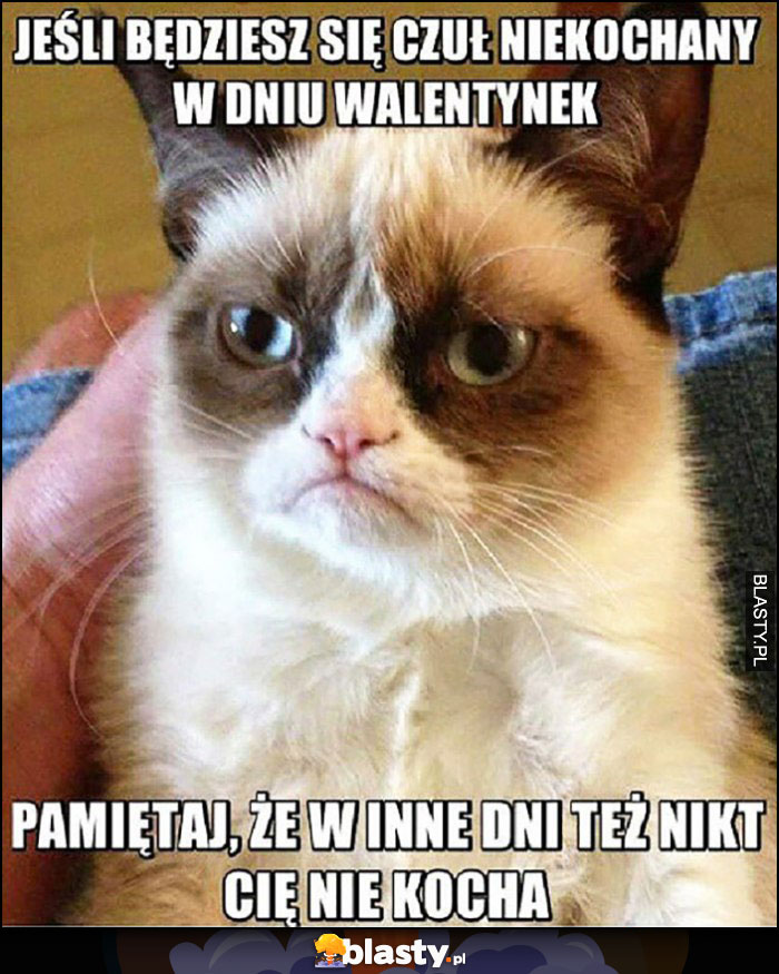 Jeśli będziesz się czuł niekochany w dniu walentynek pamiętaj, że w inne dni też nikt Cię nie kocha Grumpy Cat