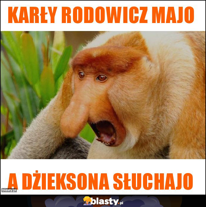 Karły Rodowicz majo
