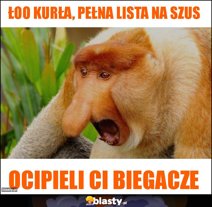 Łoo Kurła, pełna lista na szus