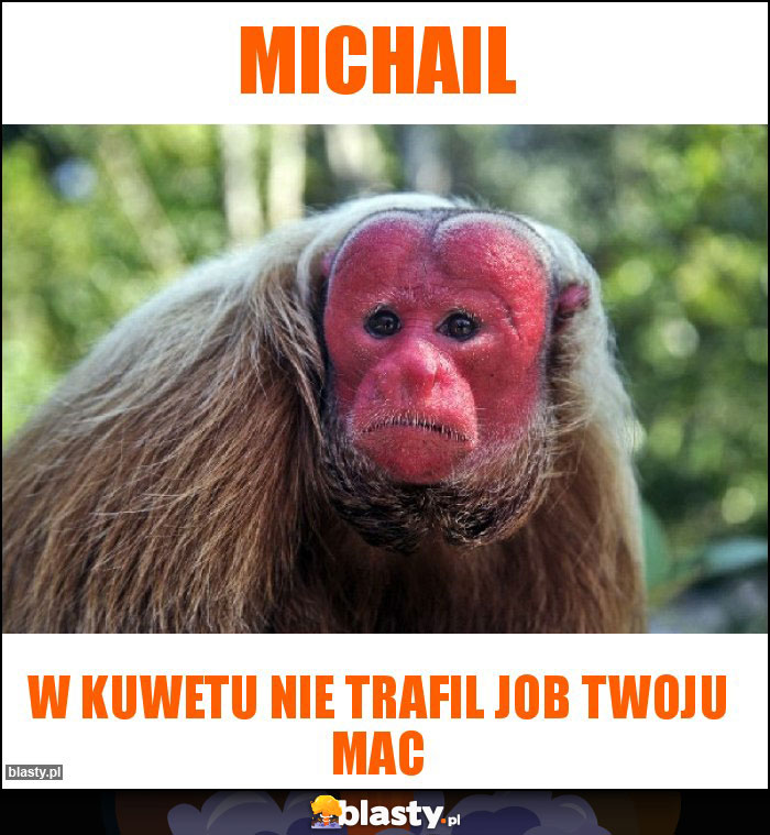 Michail