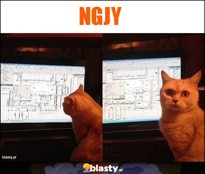 ngjy