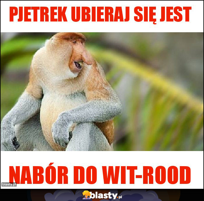 Pjetrek ubieraj się jest