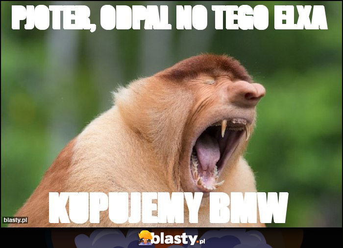 PJOTER, ODPAL NO TEGO ELXa