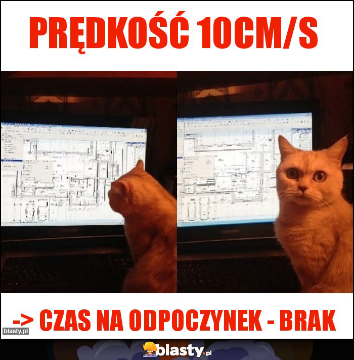 Prędkość 10cm/s