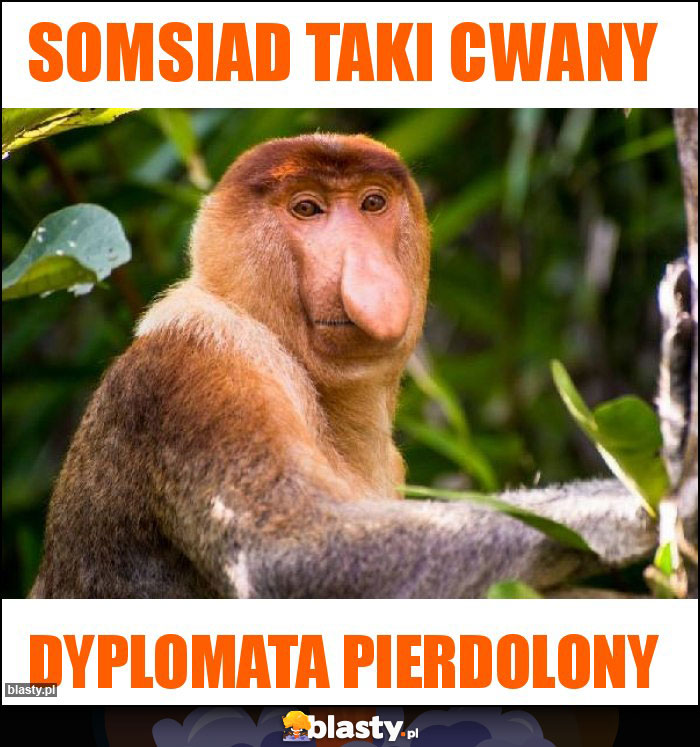 somsiad taki cwany