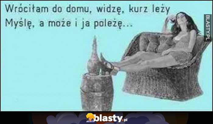 Wróciłam do domu, widzę kurz leży, myślę a może i ja poleżę