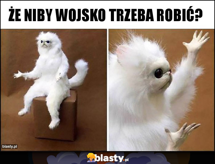 że niby wojsko trzeba robić?
