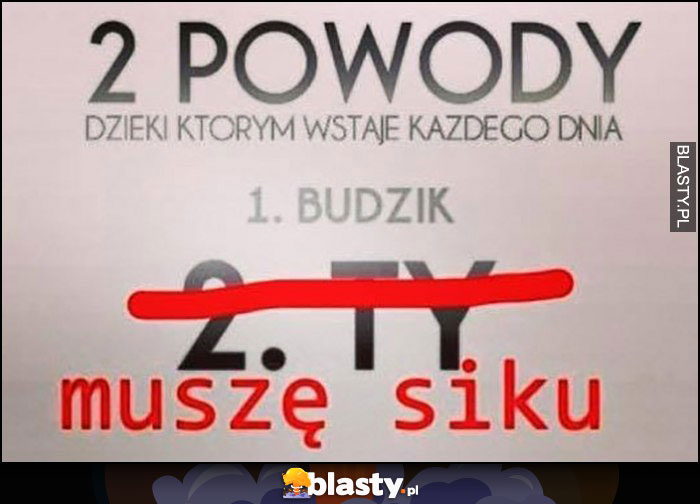 2 powody dzięki którym wstaję każdego dnia: 1. budzik 2. Ty, muszę siku