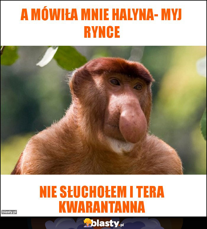 A mówiła mnie Halyna- myj rynce