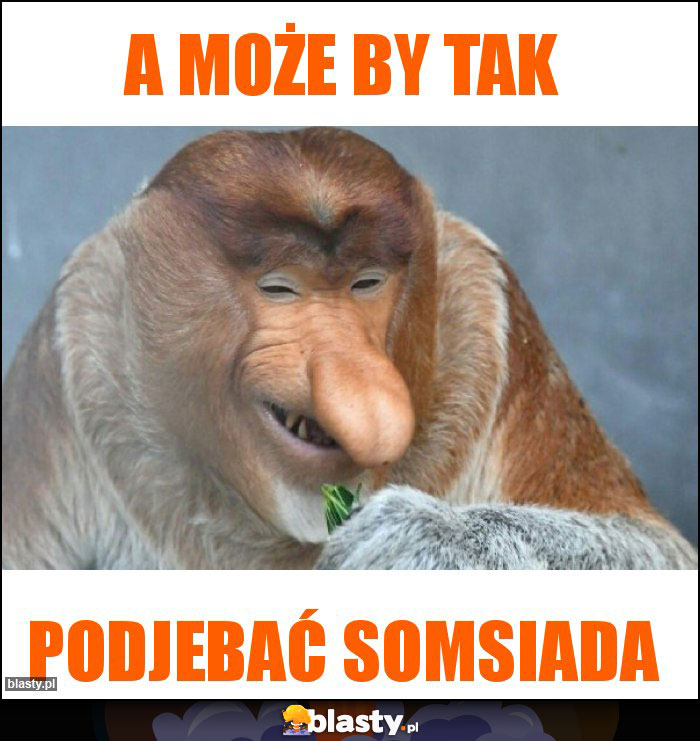 A może by tak