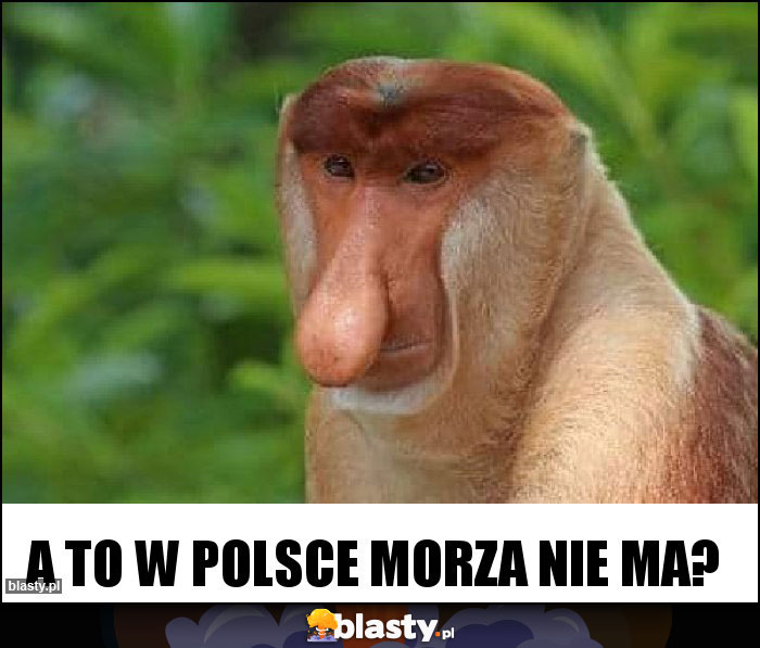 A to w Polsce morza nie ma?