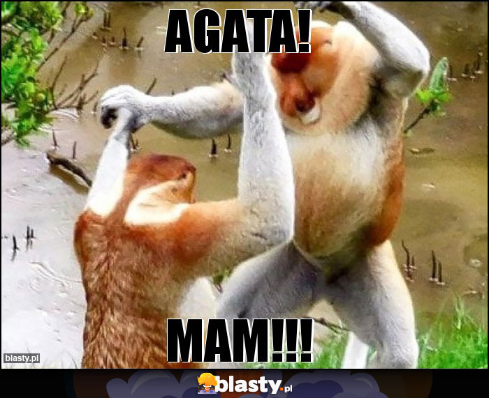 AGATA!