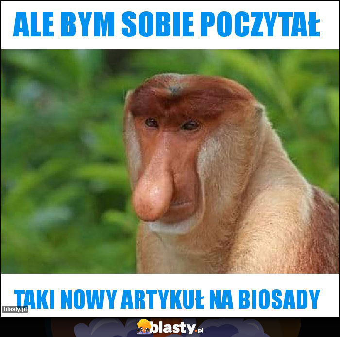 Ale bym sobie poczytał