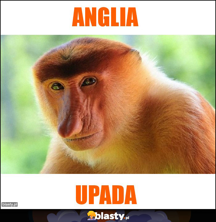 Anglia